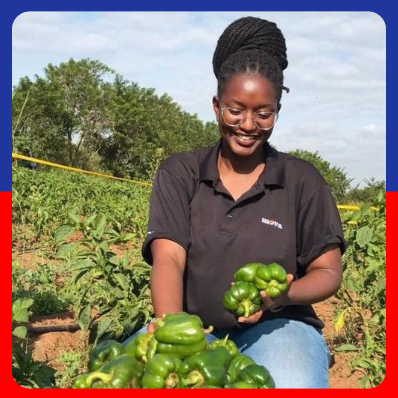 Read more about the article Food Security Program